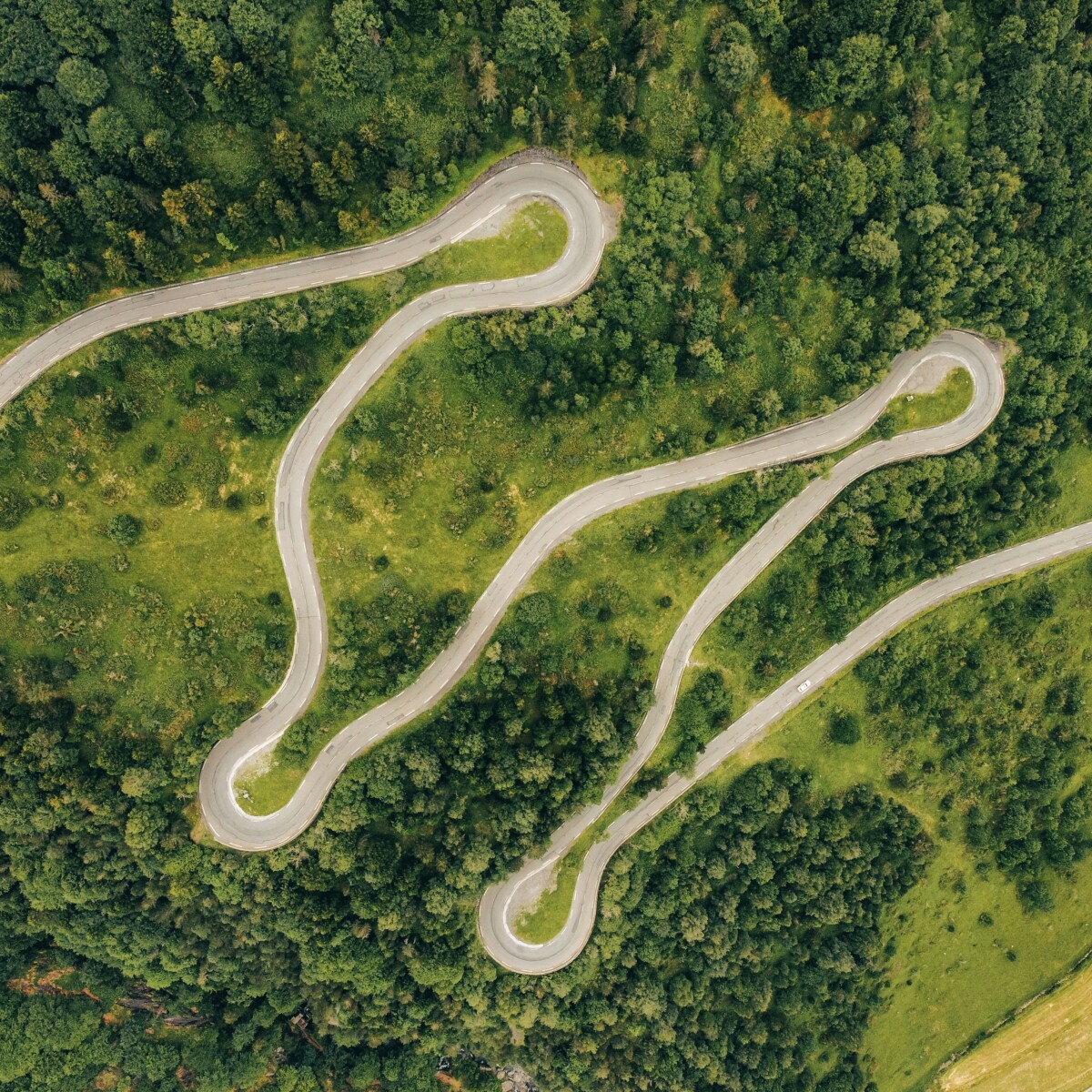 An overhead photo of a road winding through a forest