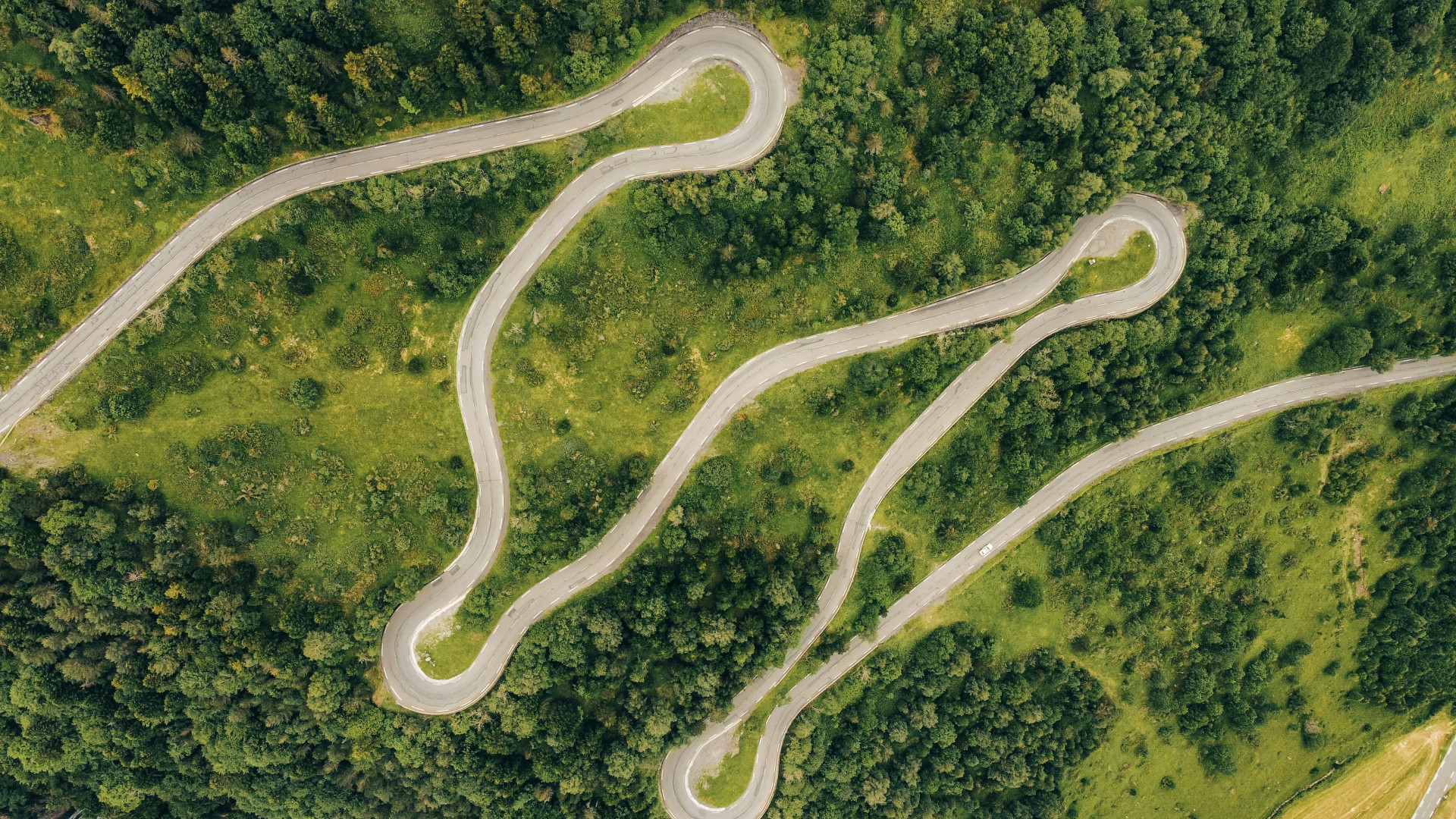 An overhead photo of a road winding through a forest